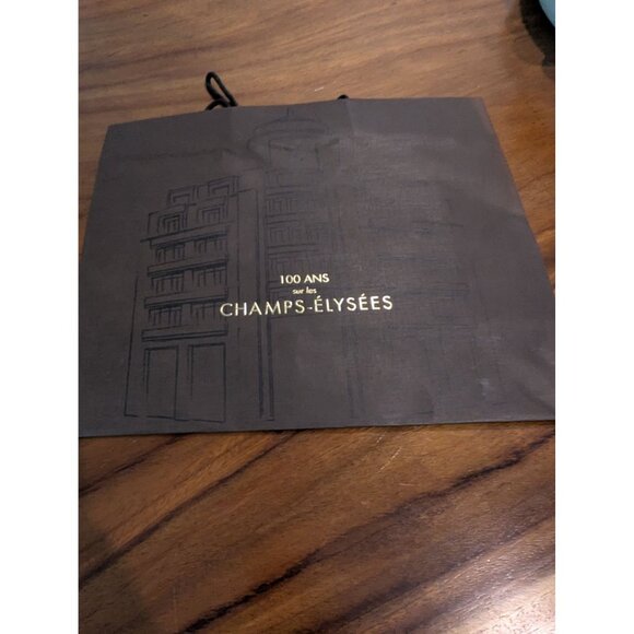 Louis Vuitton Champs-Élysées 100 Ans Brown Paper Shopping Bag W Rope Handles 16 - Picture 11 of 13